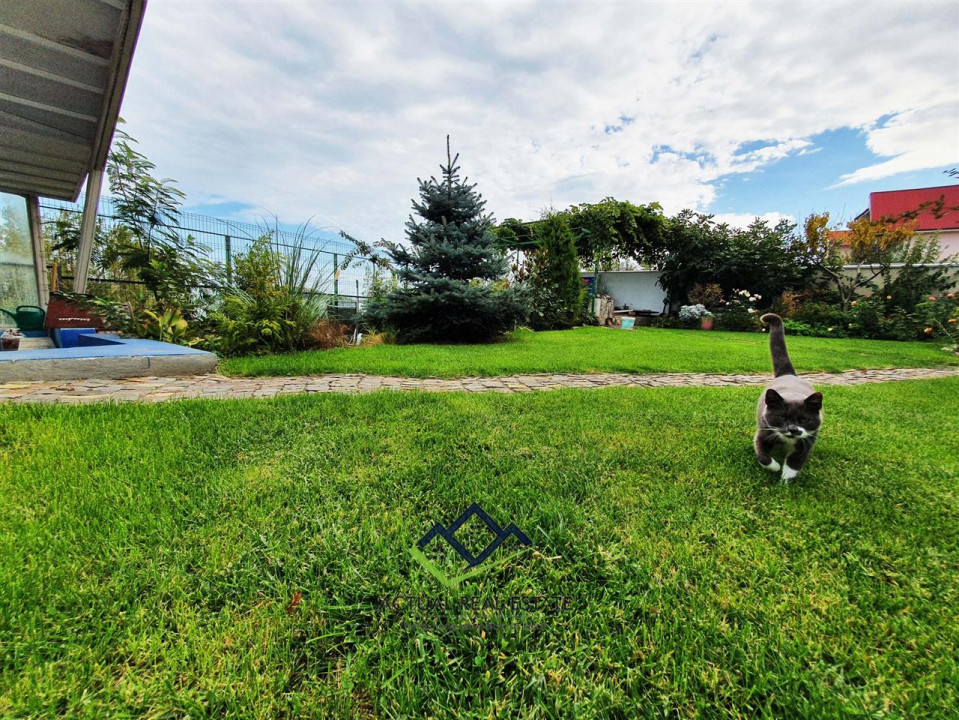  Ovidiu |  VILA P+1 |  PRIMA LINIE LA LAC