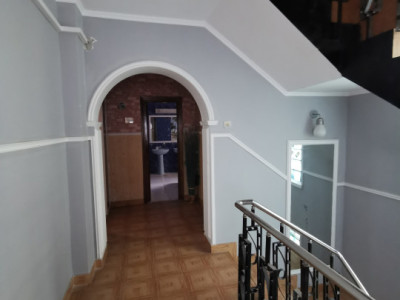 Vila D+P+1 DELFINARIU
