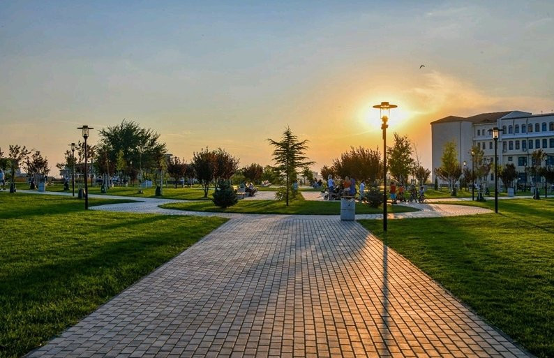 3 CAMERE | CAMPUS | 2025